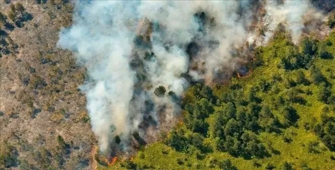 Cuba kiểm soát được đám cháy rừng kéo dài hơn 18 ngày