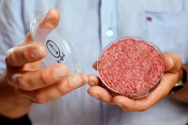 Thịt nhân tạo: Tương lai mới cho ngành thực phẩm toàn cầu?