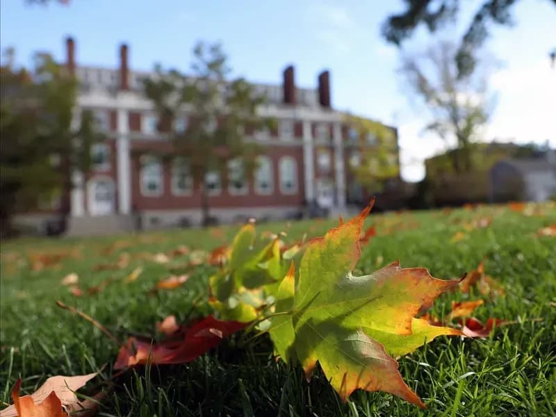 Chính quyền Trump kiện Đại học Harvard, yêu cầu cung cấp dữ liệu tuyển sinh