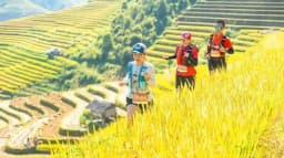 Lào Cai ngừng tổ chức tour du lịch đến khu vực chịu ảnh hưởng của bão