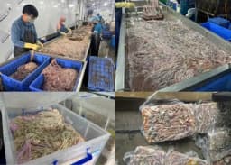 Hàng chục tấn lòng lợn hôi thối bị phát hiện tại Hà Nội 