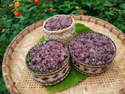 Xôi trám đen Cao Bằng - Món ăn dân dã miền non nước 