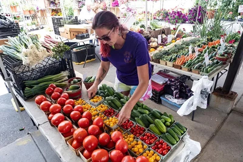 Cuộc khủng hoảng SNAP và nghịch lý lãng phí thực phẩm ở Hoa Kỳ