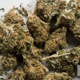 Chính quyền ông Trump nới lỏng hạn chế đối với một số sản phẩm cần sa