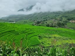 Sapa - Điểm đến vùng núi và thị trấn nhỏ hút khách hàng đầu châu Á