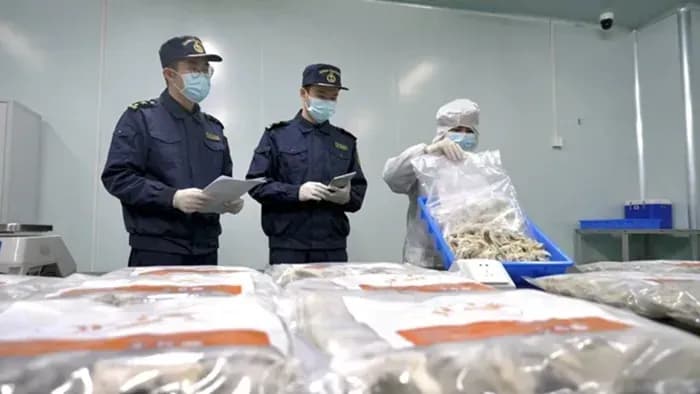 Tổ yến thô Việt Nam lần đầu thâm nhập thị trường Trung Quốc