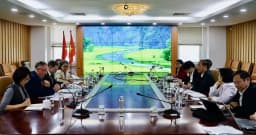 Hoa Kỳ đầu tư 15,2 triệu USD thúc đẩy chuỗi giá trị cá rô phi Việt Nam 