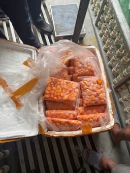 Hà Nội phát hiện hàng tấn sụn gà, trứng non không rõ nguồn gốc 