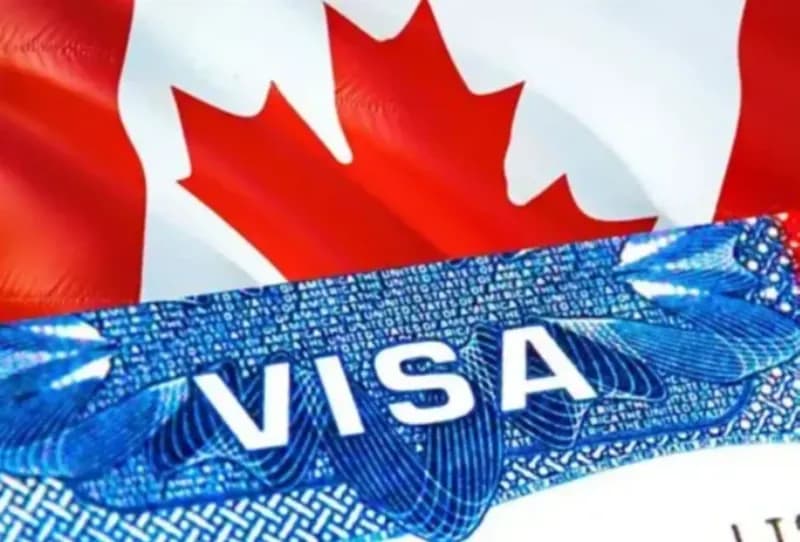 Canada dừng nhận hồ sơ Chương trình Visa Khởi nghiệp