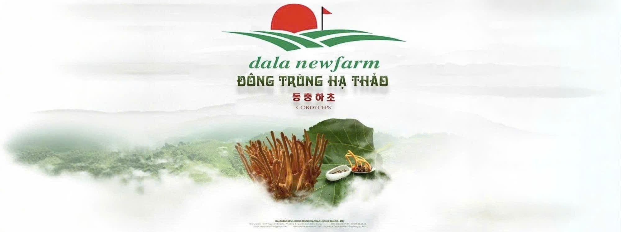 Dalat New Farm - Nông sản sạch Đà Lạt