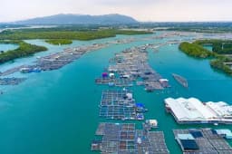 TP. HCM khai thác tour trực thăng ngắm thành phố từ ngày 11/3 TP. HCM khai thác tour trực thăng ngắm thành phố từ ngày 11/3