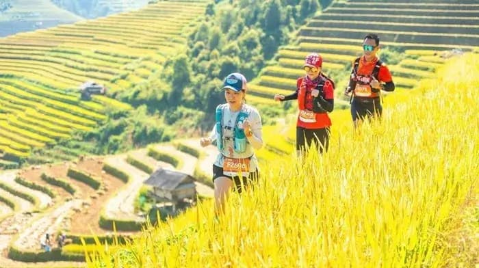 Lào Cai ngừng tổ chức tour du lịch đến khu vực chịu ảnh hưởng của bão
