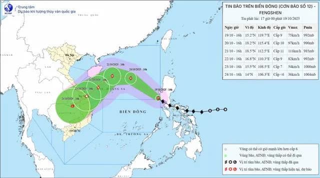 Đà Nẵng triển khai các giải pháp ứng phó bão Fengshen
