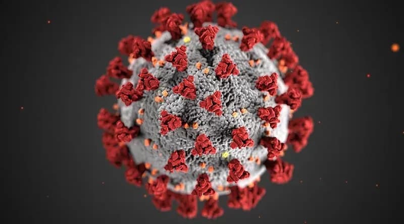 CDC cập nhật hướng dẫn về vaccine Covid-19, tranh cãi có kết thúc?