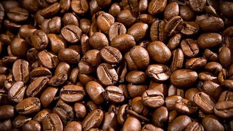 Khám phá 3 tinh hoa cà phê được ưa chuộng ở 3 miền Việt Nam