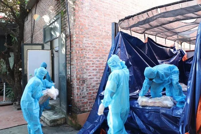 Việt Nam: Phát hiện 38 tấn thịt nhiễm dịch tả heo châu Phi