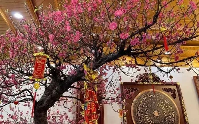 Hoa đào ngày Tết - Sắc xuân gìn giữ hồn Việt