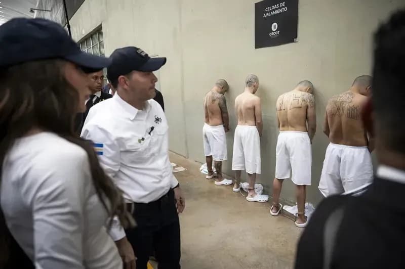 Hoa Kỳ: Tạm dừng điều trần liên quan vụ DOJ trục xuất người nhập cư