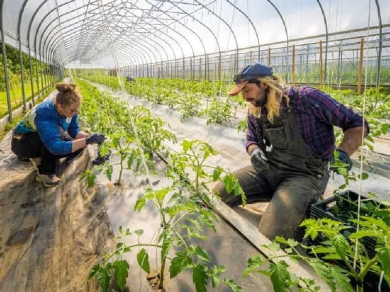 Lạm phát tại Hoa Kỳ có nguy cơ tăng mạnh vì Iran