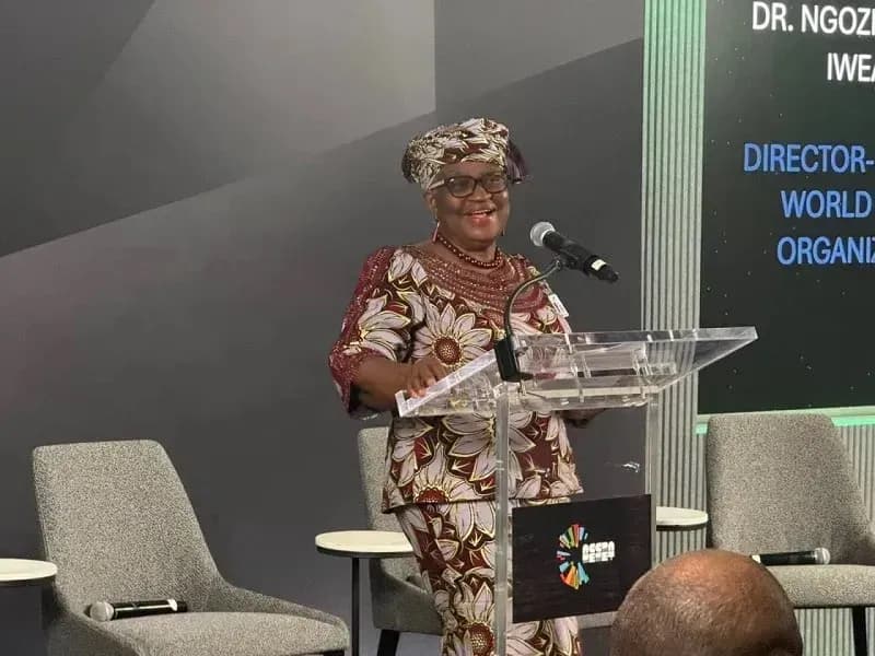 WTO: Triển vọng thương mại toàn cầu năm 2025 cải thiện đáng kể