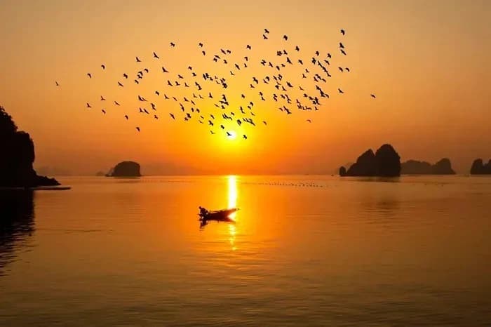 Vịnh Bái Tử Long lọt top 3 kỳ quan bậc nhất Đông Nam Á